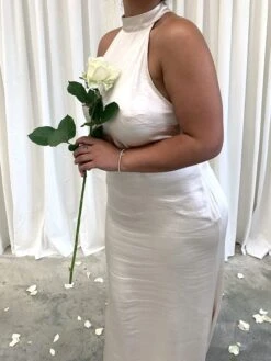 Raleigh High Back Halterneck Maxi Dress - Matte Oyster -By Knitwear Shop IMG 2107