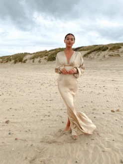 Alexis Maxi Batwing Dress - Matte Bronze -By Knitwear Shop IMG 3516